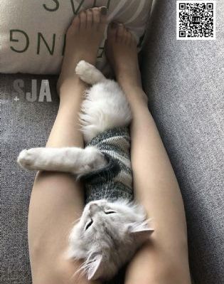 女子推理社综艺免费观看全集高清_720免费观看超清