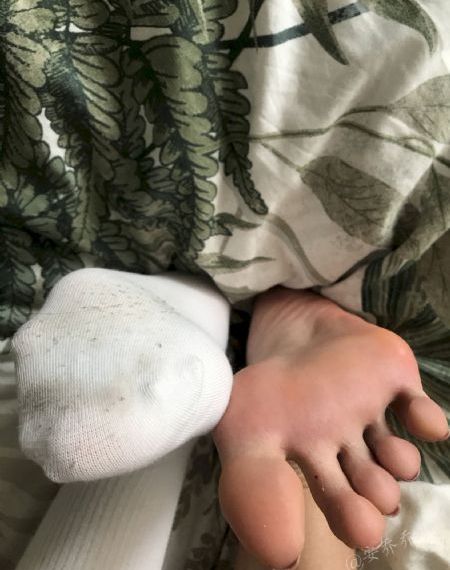 畜禽和人_1080视频大全