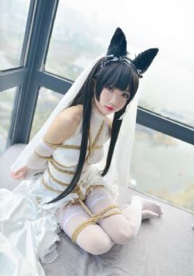 《天底良知》电视剧_DVD动漫免费观看