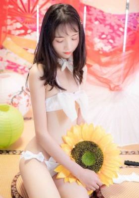白狼电视剧全集30集在线播放_1080天堂在线